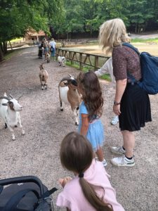 Kinder mit Ziegen im Streichelzoo